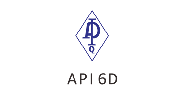 API 6D